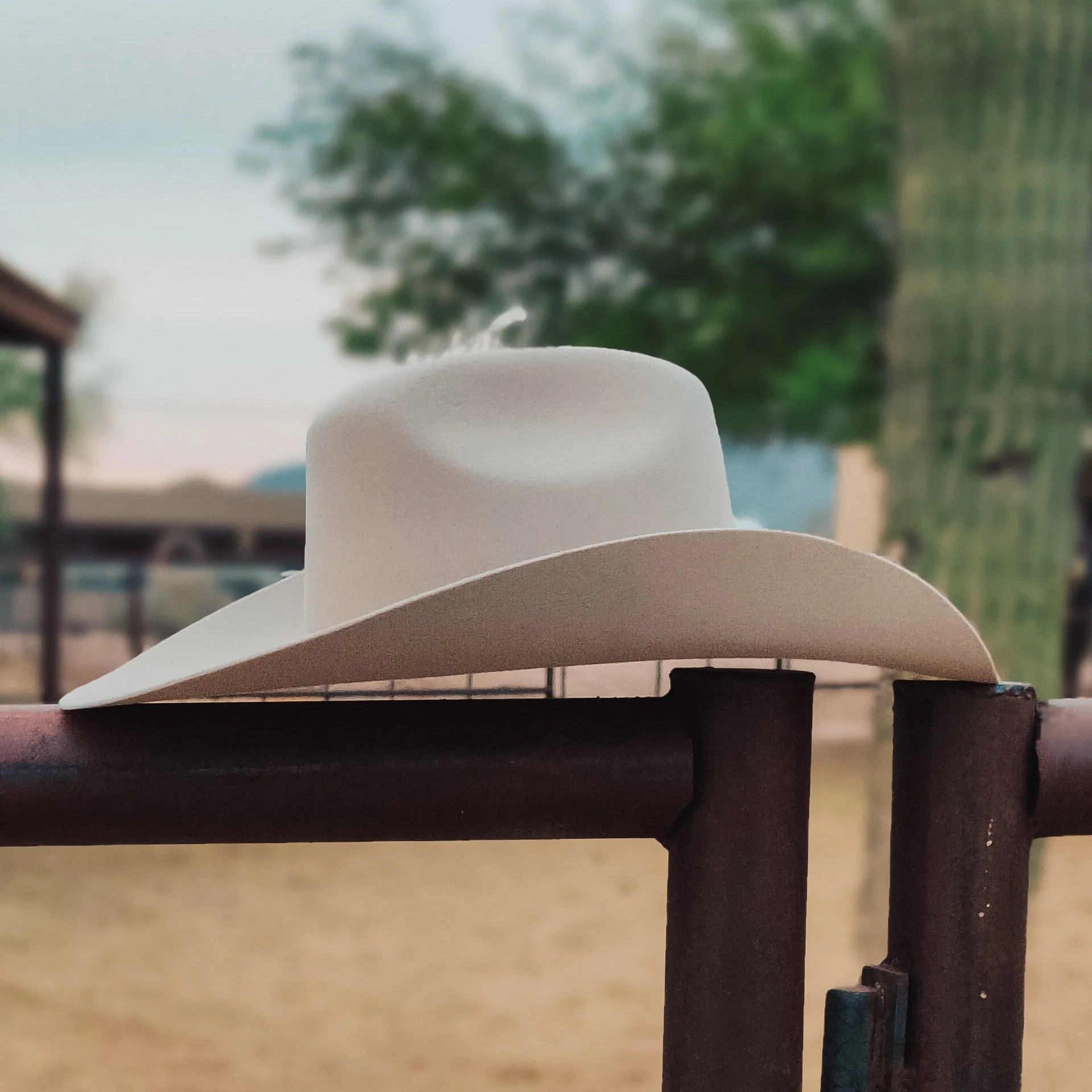 Rodeo Royalty 4x Felt in Cream